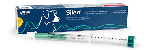 Sileo Dosing Chart Dog